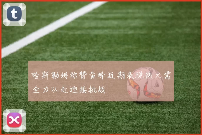 哈斯勒姆称赞黄蜂近期表现热火需全力以赴迎接挑战